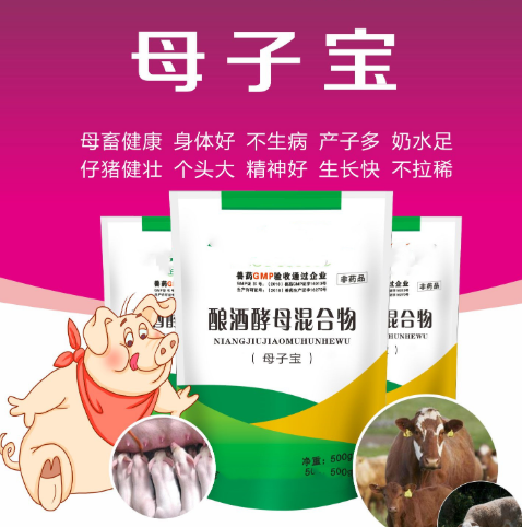 母子宝