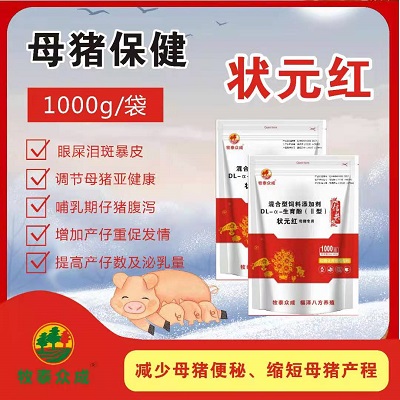 状元红母猪专用