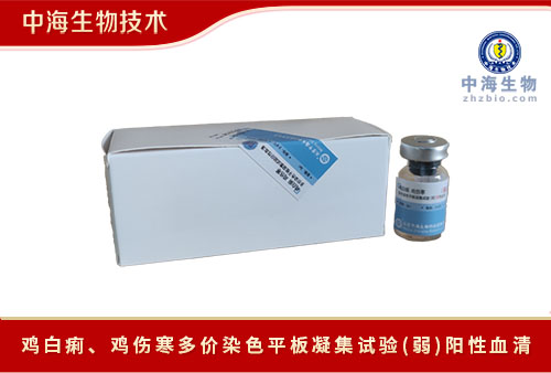 中海生物鸡白痢鸡伤寒弱阳性血清
