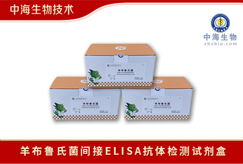 中海生物羊布鲁氏菌间接ELISA抗体检测试剂盒规格