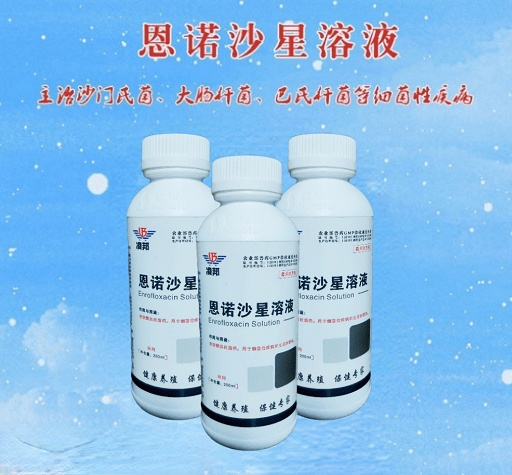 恩诺沙星溶液