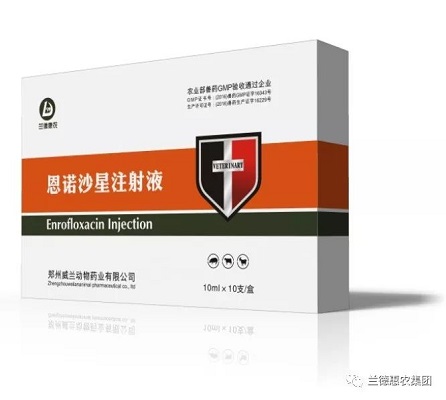 恩诺沙星注射液
