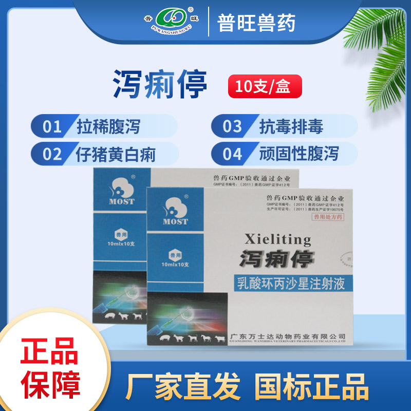 泻痢停