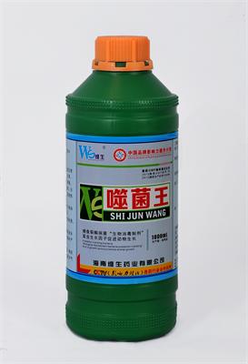 噬菌王