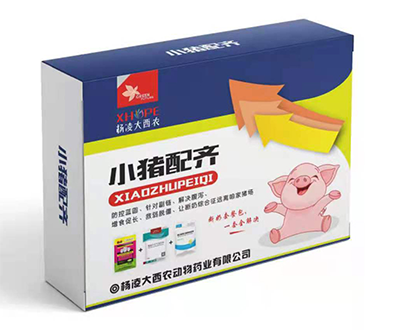 小猪配齐