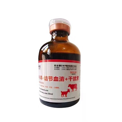 　结节抗体血清