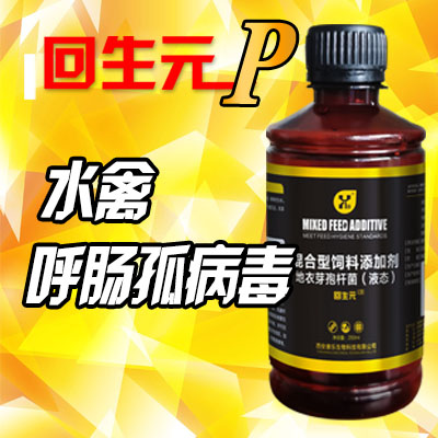 回生元P型-用于呼肠孤病毒（脾坏死、花肝）的防控