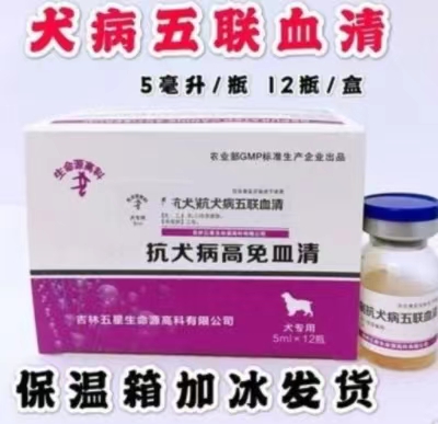 犬五联血清