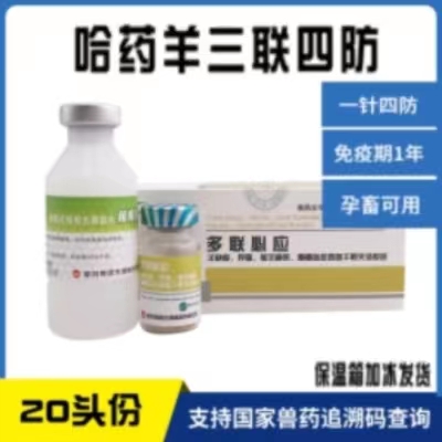 羊多联必应（三联四防）