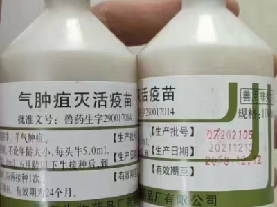气肿疽活疫苗