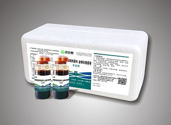 羊全清：羊小反刍、羊瘟