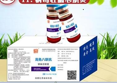 高免八联血清（孕畜可用）