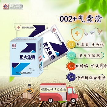 002+气囊清，告别各类“咳、喘”，顽固呼吸道