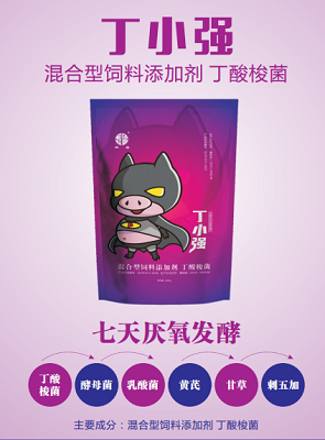 丁小强