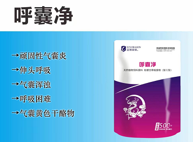 呼囊净：顽固气囊炎，气囊黄色干酪物