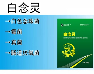 白念灵:白色念珠菌、霉菌、肠道厌氧菌、消化道真菌