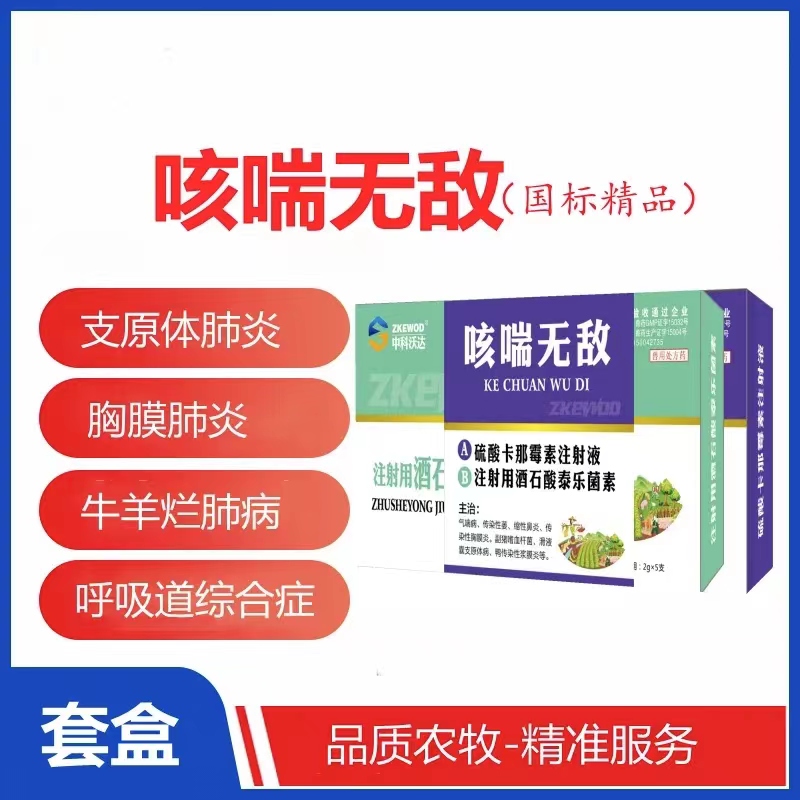咳喘无敌