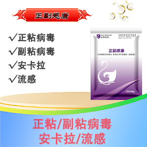 正副感康：禽流感 安卡拉 副粘 正粘
