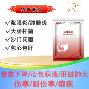 浆杆重症：浆膜炎 沙门氏菌 大肠杆菌